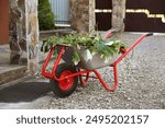 Metal wheelbarrow with green wilted leaves outdoors