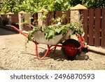 Metal wheelbarrow with green wilted leaves outdoors