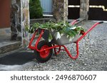 Metal wheelbarrow with green wilted leaves outdoors