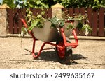 Metal wheelbarrow with green wilted leaves outdoors