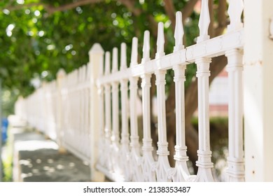 metal white fence in the park on the street, protects trees from dogs