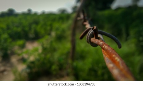 Metal Wire Fencing At The Farm 