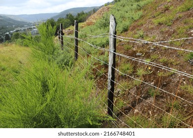 Metal And Wood Fencing And Gates