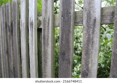 Metal And Wood Fencing And Gates