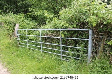 Metal And Wood Fencing And Gates