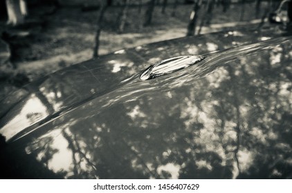 A metallic object with tree shadows unique photo