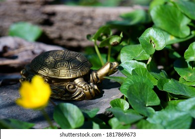 Metallic Turtle In A Field Of Colors. Symbol Of Feng Shui.	
