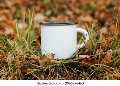 Metallic white mug mock-up. Hike camping or travel template concept. Close-up enamelled clean mug standing on autumn foliage outdoors.