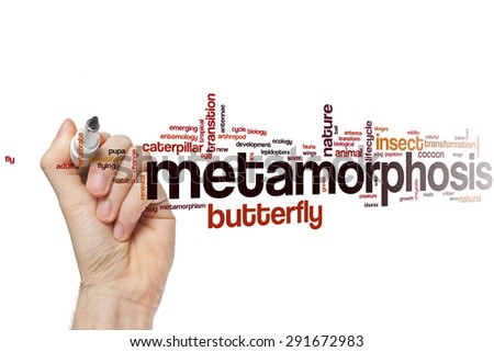 Metamorphosis word cloud concept