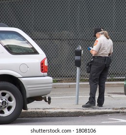 Meter Maid Issues Parking Ticket