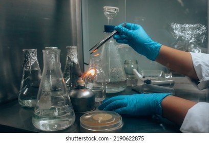 The method in Aerobic plate count  microbiology testing - Shutterstock ID 2190622875