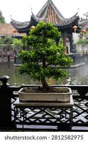 A meticulously pruned bonsai tree in a rectangular pot on a decorative stand by a waterway.