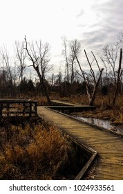 Metro Park. Dayton, Ohio