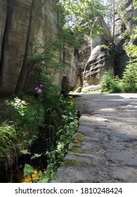 Metuje River, Path In Adrspach Rocks In Czech Republic. Nature, Flowers, Water And Rocks Image Background.