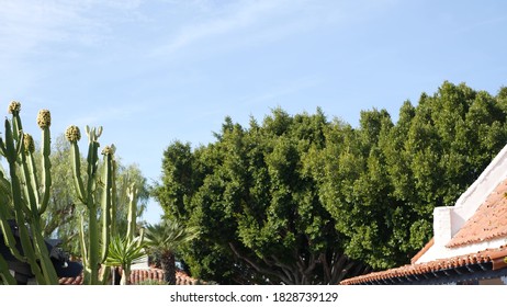 Mexican colonial style suburban, hispanic house exterior, green lush garden, San Diego, California USA. Mediterranean terracotta ceramic clay tile on roof. Rustic spanish tiled rooftop. Rural details. - Shutterstock ID 1828739129