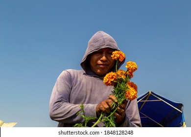 2,272 Mexican laborer Images, Stock Photos & Vectors | Shutterstock