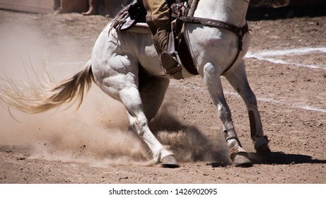 Mexican Horse In Traditional Charreria