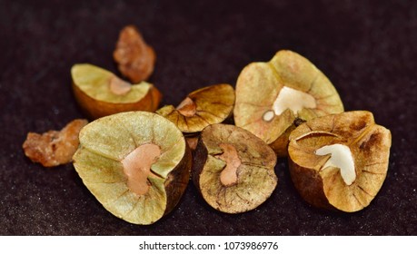 Mexican Jumping Beans Up Close As Seen Through A Macro Lens Isolated With A Dark Background.