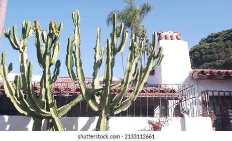 Mexican rural homestead garden and blue sky. Succulent plants in provincial village, countryside rustic ranch. Country house in California, Texas or Mexico in greenery, tall cacti or big cactus.