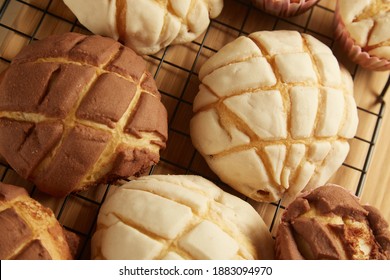 Mexican sweet bread cocoa and vanilla "conchas" close up