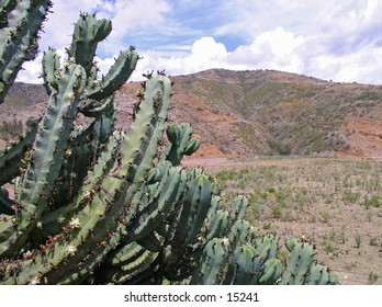 Mexican view