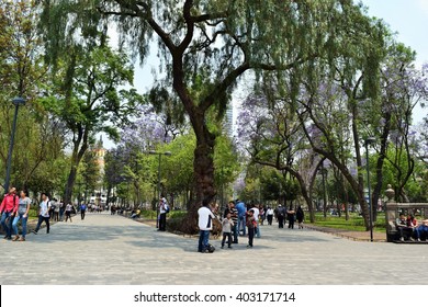 Mexico City - 09/04/2016 - Alameda Central Park