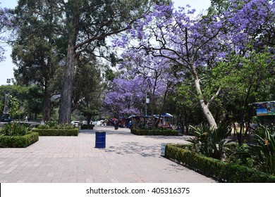 Mexico City - 13/04/2016 - Chapultepec Park