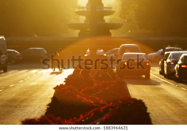 Mexico City, Mexico -\
December 28, 2020: A couple enjoy the sunset sitting in a flower\
garden in the middle of Paseo de la Reforma avenue amid the\
Coronavirus, COVID-19\
pandemic.