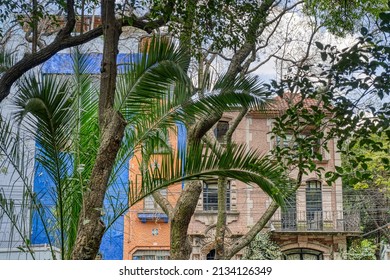 Mexico City, Mexico - January 2022 : Condesa Neighbourhood In Sunny Weather, HDR Image