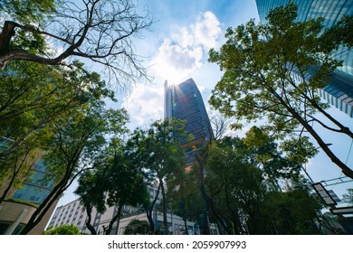 Mexico City - October 19, 2019: Skyscrapers On The Famous Reforma Avenue Worms Eye View