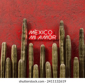 Mexico mi amor lettering street wall decoration in red colors with green beautiful cactus