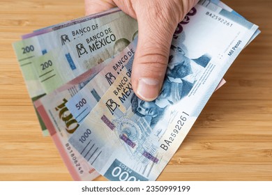 Dinero mexicano en mano, varios billetes de pesos