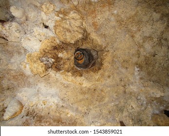 Mexico - Quintana Roo - Cenote Cave Ceiling Hole