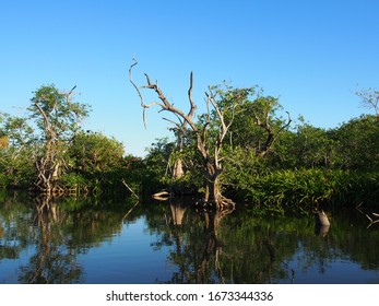 Mexico - Riviera Nayarit - San Blas