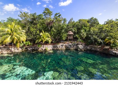 Mexico tourism destination, Cenote Casa Tortuga near Tulum and Playa Del Carmen.