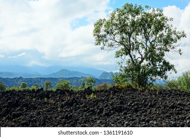 Mexico Volcano Paricutin