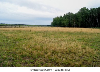 Mezhyhirya, Ukraine - 15 May, 2015: Field and forest on the territory of Mezhyhirya National Park - former residence of ex-president Yanukovich. - Shutterstock ID 1923384872