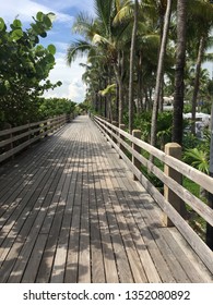 Miami Beach Bike Lane Near South Beach