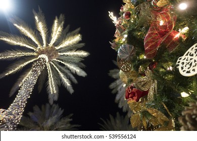 Miami Beach Christmas Tree Decorations With Palm Trees Lincoln Road 