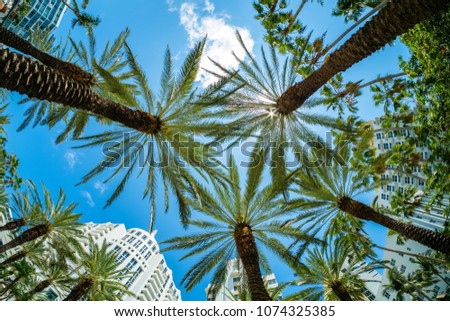 Miami Beach cityscape with palm trees and art deco architecture.