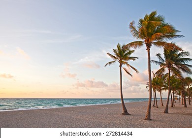 Miami Beach, Florida Colorful Summer Sunrise Or Sunset With Palm Trees, Beautiful Sky And Ocean 