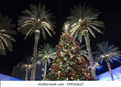 Christmas Light In The Beach Images Stock Photos Vectors