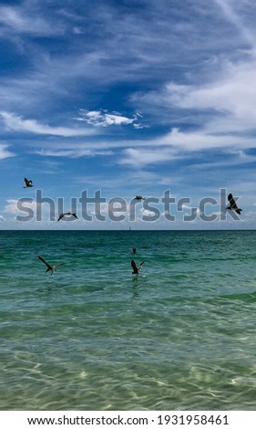 Miami Beach, keywest, beach day