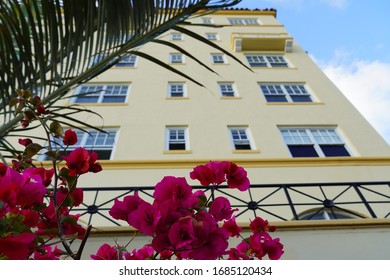 Miami Beach, USA - March 27th, 2020: Typical Mediterranean Revival Architecture On Collins Avenue In The Heart Of Miami's South Beach. Focus On Bougainvillea In The Foreground With Soft Focus To Rear