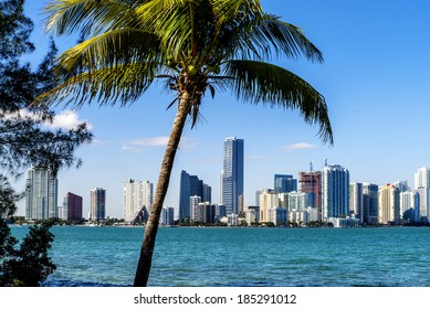 Miami Downtown Skyline In Daytime With Biscayne Bay.