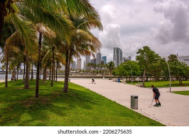 Miami, FL, USA - 2020: Roller Hockey On Miami Streets On The Background Of Palm Trees And Skyscrapers. Play In-line Hockey On Playground. Inline Hockey, Off Ice Practice