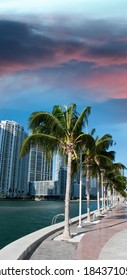 Miami, Florida. Beautiful view of coastline.
