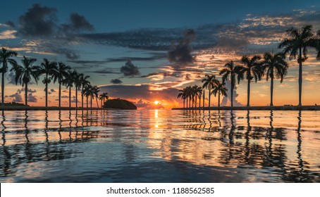 Miami Florida Deering Estate Sunrise Twilight Symmetrical Row Of Palm Trees Over Water Biscayne Bay Atlantic Ocean