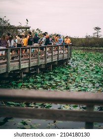 Miami, Florida - January 3, 2022: Crowd Enjoying Anhinga Trail At Everglades National Park 