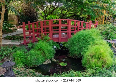 Miami, Florida - September 8,2022: Miami Beach Botanical Garden: Japanese Garden with little bridge and the pond - Shutterstock ID 2199444569